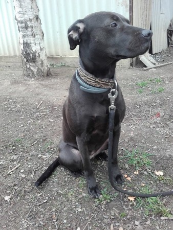 Jessy